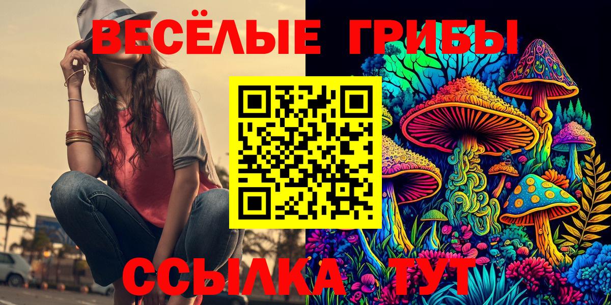 закладки  Галлюциногенные грибы прущие грибы  Сердобск  Вход с VPN  Псилоцибиновые грибы мицелий 